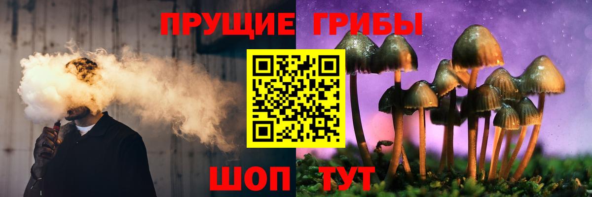 Россошь  Галлюциногенные грибы прущие грибы  Псилоцибиновые грибы Psilocybine cubensis  Вход с VPN 